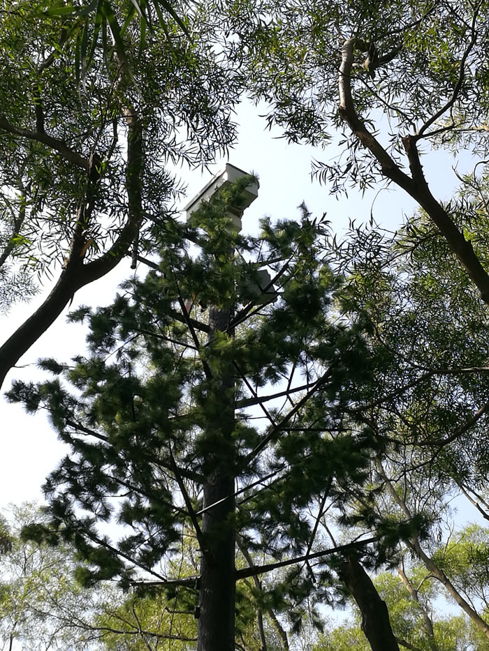 ?森林火災(zāi)風(fēng)險普查工作任重而道遠，華瑞通發(fā)揮行業(yè)優(yōu)勢